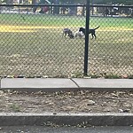 Park Playground at Freeman St