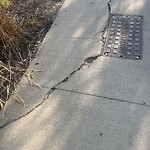 Sidewalk Repair at 8 Pearl St