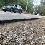 Sidewalk Repair at 171 Goddard Ave