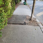 Sidewalk Repair at 24 Brook St