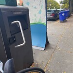 Trash/Recycling at 31 Harvard St