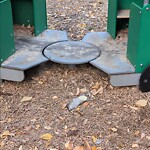 Dead Animals at Billy Ward Playground, 133 Brook St