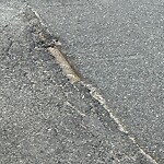 Pothole at 19 Euston St