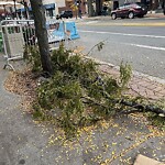 Sidewalk Obstruction at 423 Harvard St