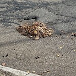 Pothole at 219 Grove St, Chestnut Hill