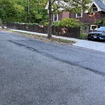 Pothole at 30 Cumberland Ave