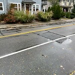 Sidewalk Obstruction at 277 Walnut St