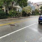 Sidewalk Obstruction at 273 Walnut St