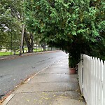 Sidewalk Obstruction at 65 Franklin St