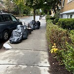 Trash/Recycling at 81 Winchester St