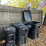 Trash/Recycling at 42.35 N 71.11 W