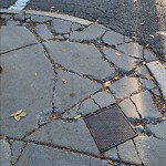 Sidewalk Repair at 232 Aspinwall Ave