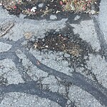 Pothole at 43 Crowninshield Rd