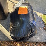 Trash/Recycling at 12 Adams St