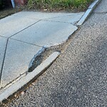 Sidewalk Repair at 959 W Roxbury Pkwy, Chestnut Hill