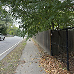 Sidewalk Obstruction at 856 Hammond St, Chestnut Hill