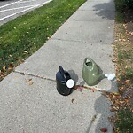 Sidewalk Repair at 630 Hammond St, Chestnut Hill