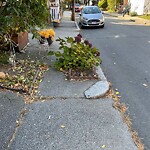 Sidewalk Obstruction at 21 Hart St