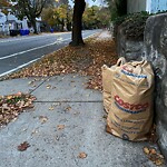 Sidewalk Obstruction at 656 Chestnut Hill Ave