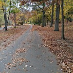 Sidewalk Obstruction at 99 Pond Ave