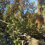 Park Playground at Waldstein Playground, 37 Dean Rd, Brookline 02445