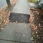 Sidewalk Repair at 58 Beaconsfield Rd