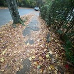 Sidewalk Repair at 12 Beaconsfield Rd