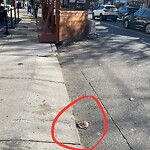 Dead Animals at 716–722 Washington St