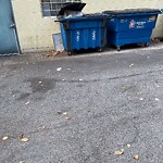 Trash/Recycling at 1005 Beacon St