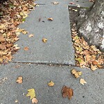 Sidewalk Repair at 2–98 Lowell Rd