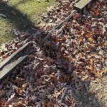 Park Playground at 652 Hammond St, Chestnut Hill