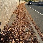 Sidewalk Obstruction at Clyde St, Chestnut Hill