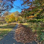 Park Playground at 215 Pond Ave