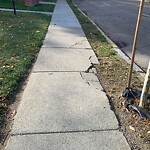 Sidewalk Repair at 56 Independence Dr, Chestnut Hill