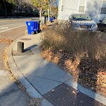 Sidewalk Obstruction at 282 Cypress St