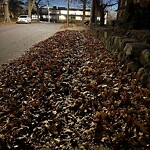 Sidewalk Obstruction at 111 Holland Rd