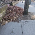 Sidewalk Obstruction at 226 High St