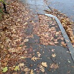 Sidewalk Repair at 29 Oakland Rd