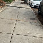 Sidewalk Repair at 42.33 N 71.12 W