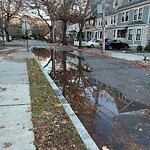 Water and Sewer at 105 Stedman St