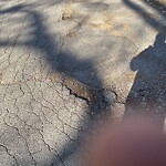 Pothole at Willow Ave, Chestnut Hill