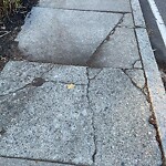 Sidewalk Repair at 281 Walnut St