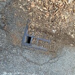 Water and Sewer at 17–53 Claflin Path