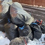 Trash/Recycling at 1093 Beacon St