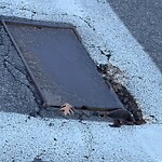 Pothole at 2–60 Holden St