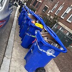 Trash/Recycling at 37–55 Alton Pl