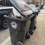 Trash/Recycling at 37–55 Alton Pl