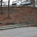 Sidewalk Obstruction at 200 Lancaster Terr