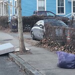 Trash/Recycling at 36 Toxteth St