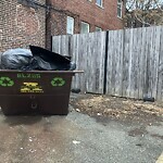 Trash/Recycling at 20 Webster Pl